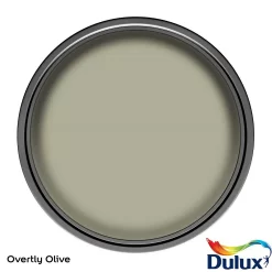 Dulux Easycare Kitchen Matt Emulsion Paint Overtly Olive - 2.5L -Furniture Series Store 12804384 7634842737033415
