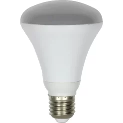 LED R80 60W Warm Light Bulb