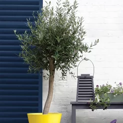 Sandtex® Rapid Dry Gloss Paint Oxford Blue - 750ml -Furniture Series Store 12813508 1804951366892655