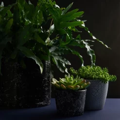 Craig & Rose Artisan Crackle Effect Spray Paint - White - 400ml 8 Craig & Rose Artisan Crackle Effect Spray Paint - White - 400ml -Furniture Series Store 12817542 9914833199741446