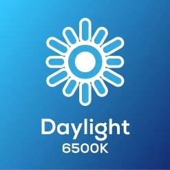 TCP Filament Globe Coat 40W BC Cool Dimmable Light Bulb 11 TCP Filament Globe Coat 40W BC Cool Dimmable Light Bulb -Furniture Series Store 12824596 1755022111737163