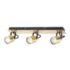 Lucy 3 Lamp Spotlight Plate - Gold & Black