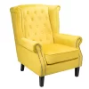 Chester Armchair - Mustard 1 Chester Armchair - Mustard -Furniture Series Store 12882875 1104887372817878