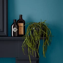 Crown Easyclean Bathroom Paint Teal - 0.04L -Furniture Series Store 12886566 2014853989681893