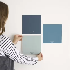 Craig & Rose 1829 Matt Paint Colour Patch Turner - Tester -Furniture Series Store 12889777 9274843831301790