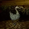 Solar Silhouette Duck - 43x12x27.5cm -Furniture Series Store 12912162 1925042096120703