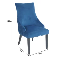 Annabelle Pleated Back Velvet Dining Chairs - Set Of 2 - Navy -Furniture Series Store 13223766 6994926477174525