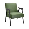 Alex Mid Century Armchair - Green -Furniture Series Store 13514418 1344964542917606
