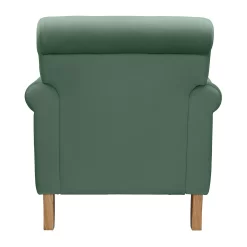 Carlotta Armchair - Sage 10 Carlotta Armchair - Sage -Furniture Series Store 13644166 7834977270867216