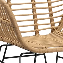 Ronnie Rattan Dining Chair - Set Of 2 -Furniture Series Store 13644186 1804997056966623