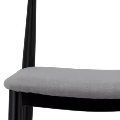 Maddie Dining Chair - Set Of 2 - Black -Furniture Series Store 13644196 1935004228026496