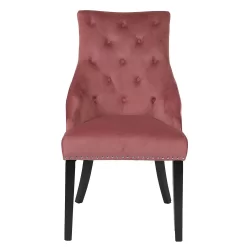 Annabelle Velvet Chairs - Set Of 2 - Rose 12 Annabelle Velvet Chairs - Set Of 2 - Rose -Furniture Series Store 13667707 2054964354927823
